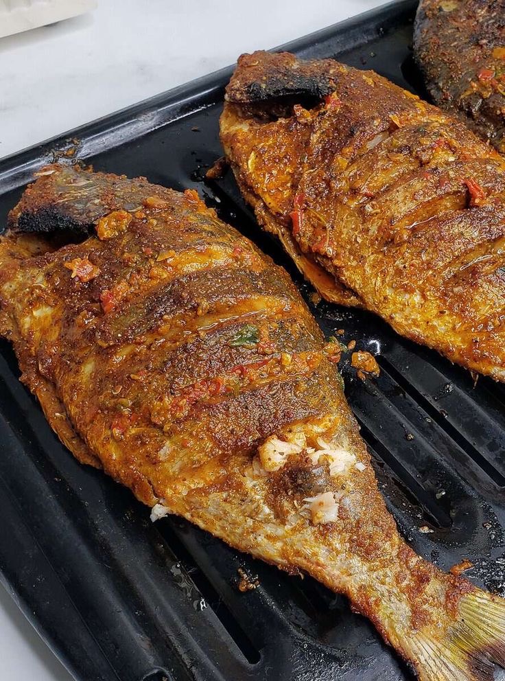 Croaker grilled fish